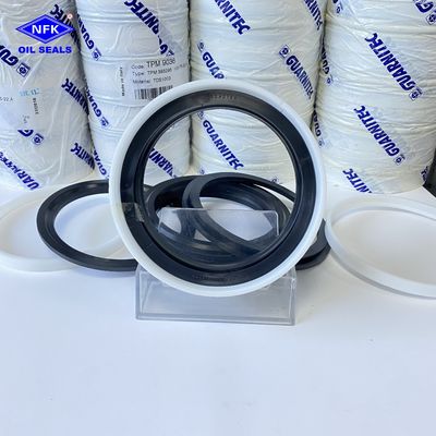 TPM Five-Piece Set With Complete Specifications Italy DPM Tailgate Cylinder Oil Seal DBM Combination Seals.