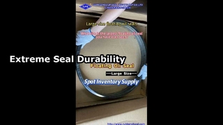 これまで見た中で最大のフローティングオイルシールのサイズはどれくらいですか?